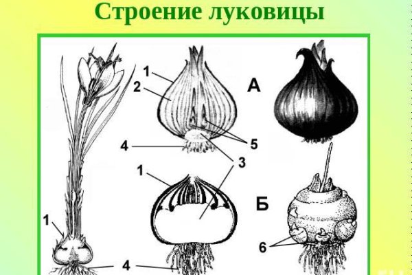 Кракен актуальная ссылка