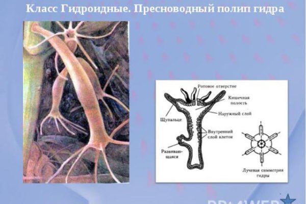 Кракен сайт пользователь не найден